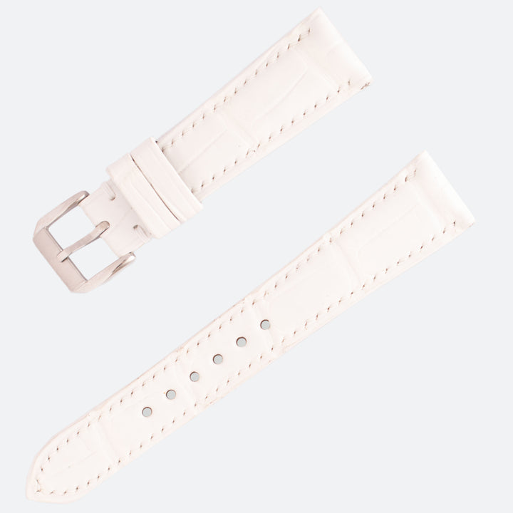 ALLIGATOR | WHITE