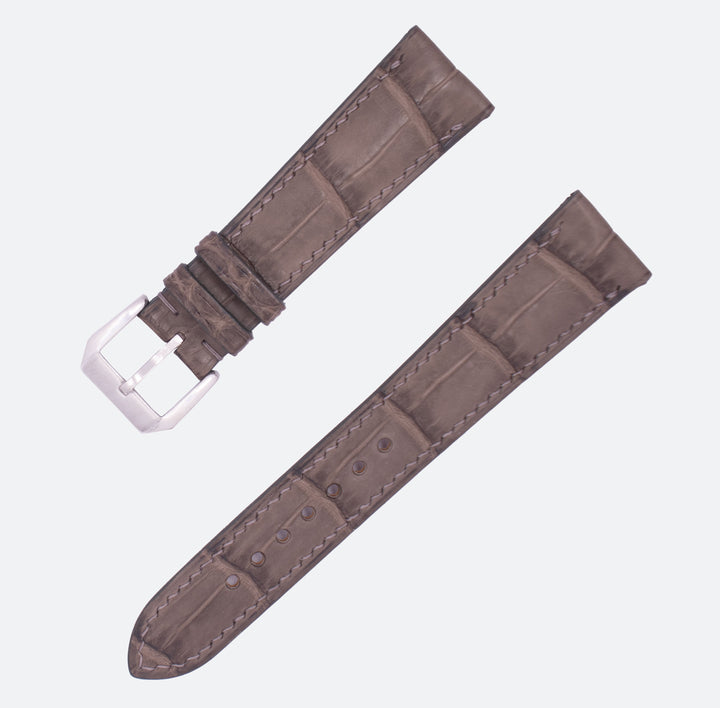 ALLIGATOR | DARK GREY