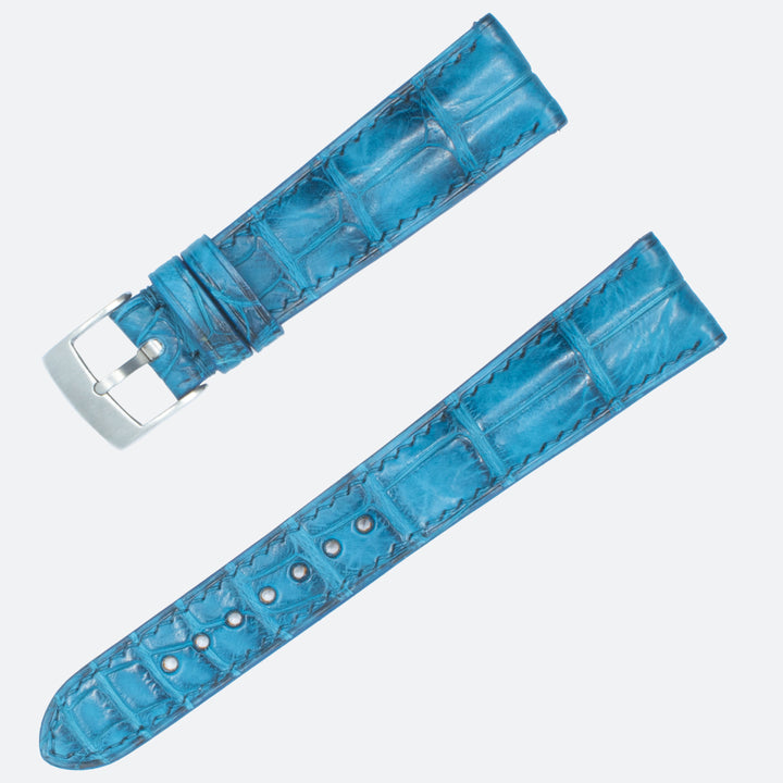 ALLIGATOR | AQUA BLUE