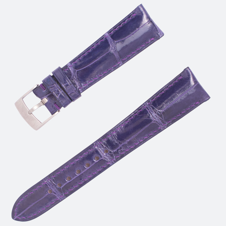 ALLIGATOR | PURPLE