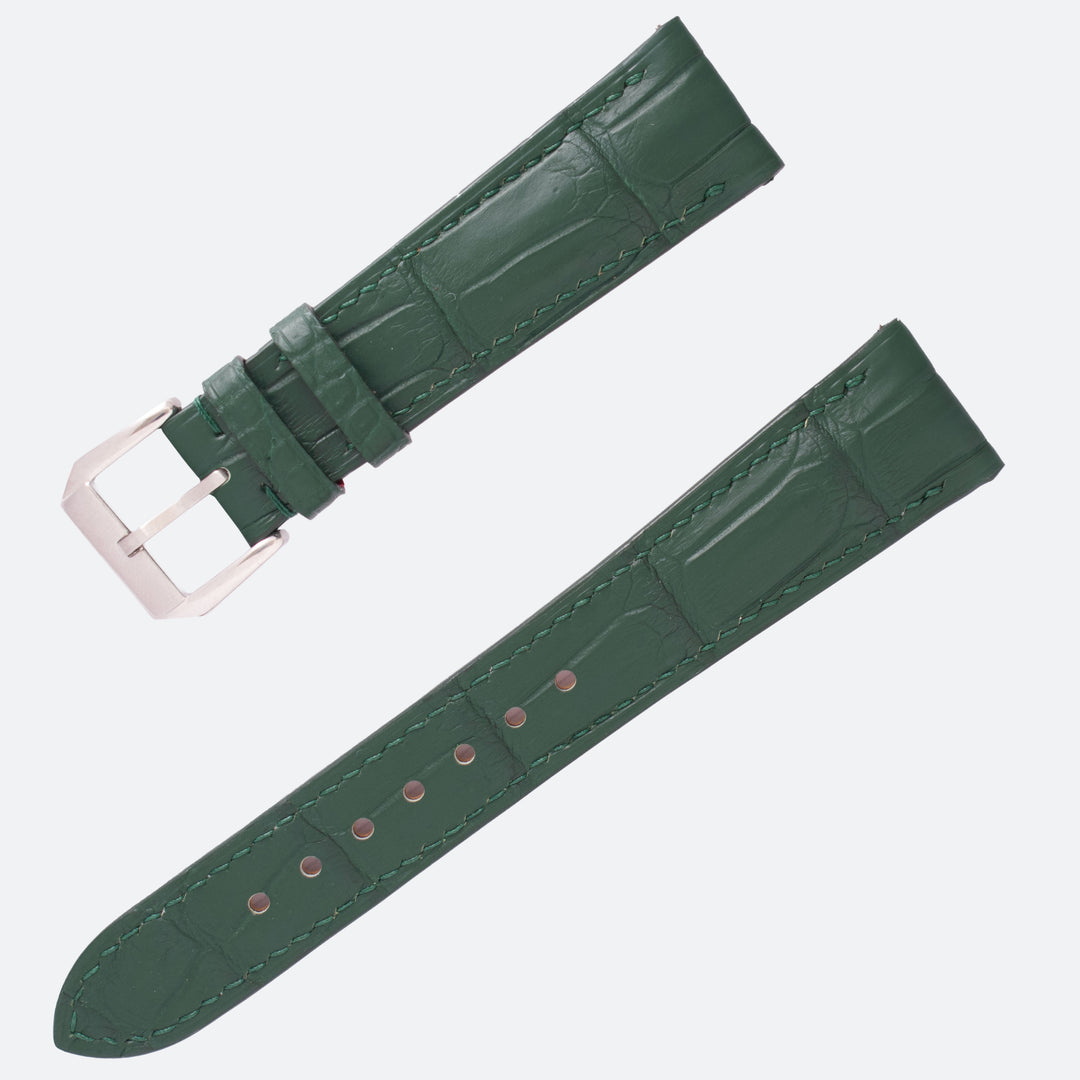 ALLIGATOR | FORREST GREEN