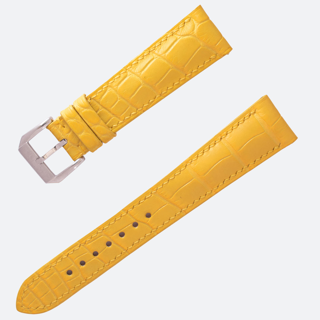 ALLIGATOR | YELLOW