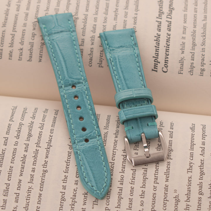 ALLIGATOR | CYAN
