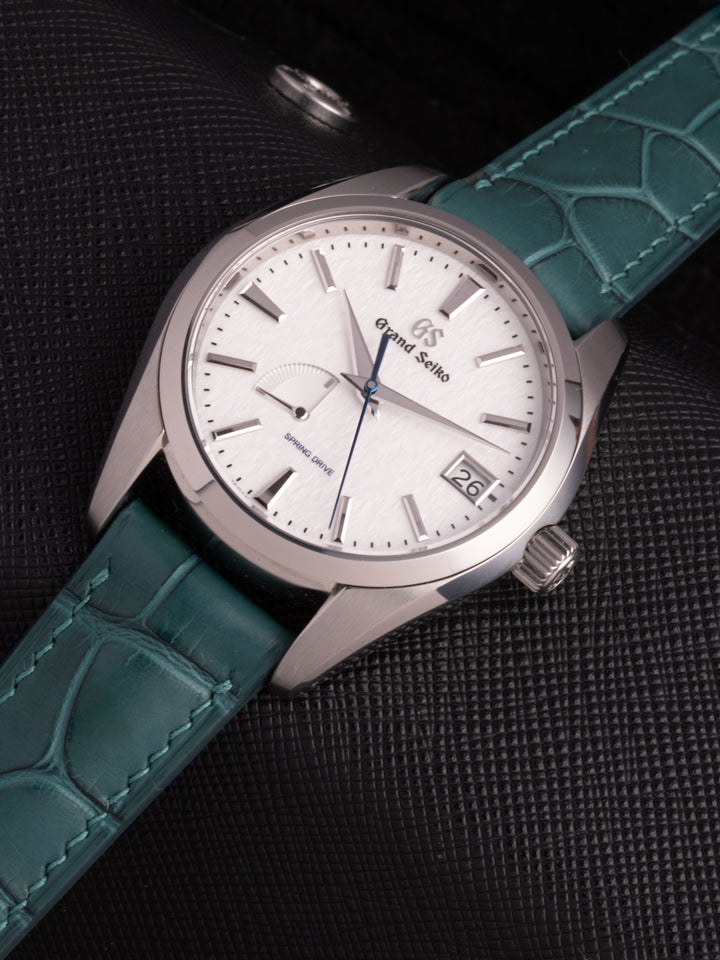 ALLIGATOR | TURQUOISE