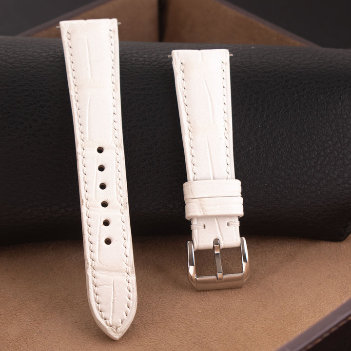 ALLIGATOR | WHITE