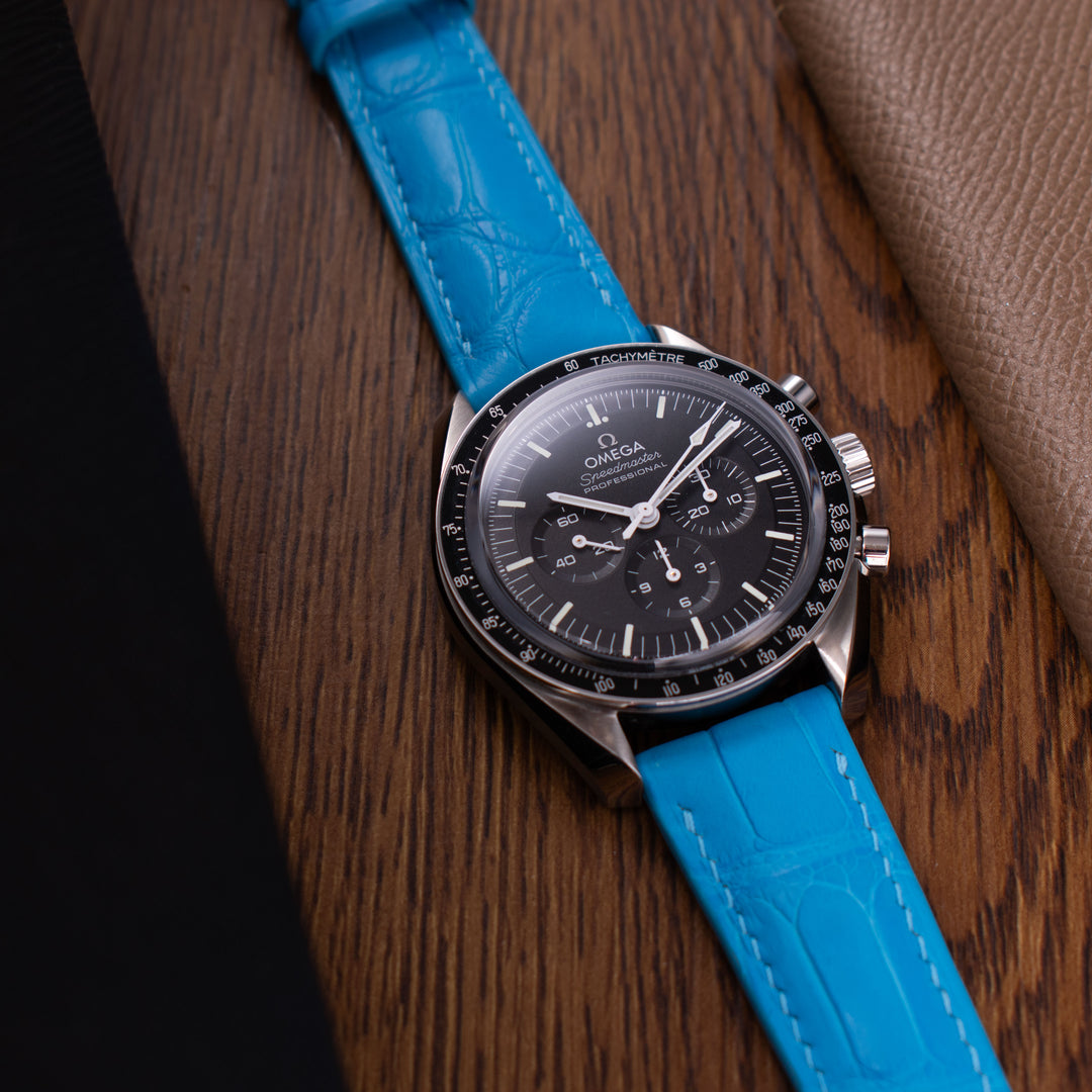 ALLIGATOR | ARCTIC BLUE
