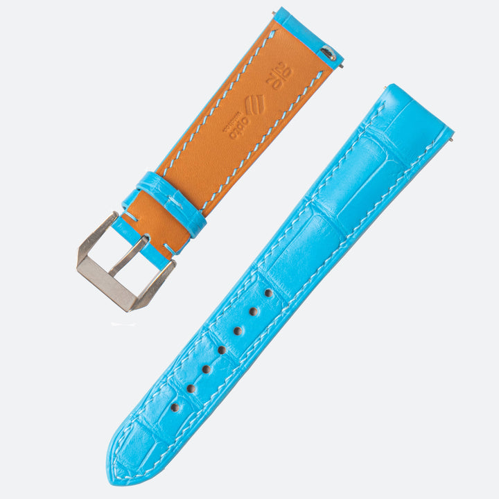 ALLIGATOR | ARCTIC BLUE