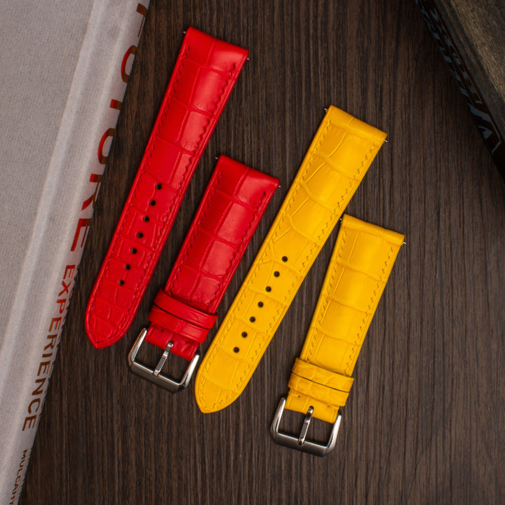 ALLIGATOR | YELLOW