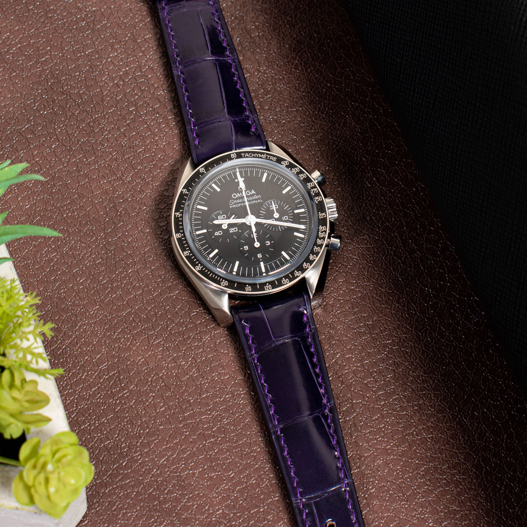 ALLIGATOR | PURPLE