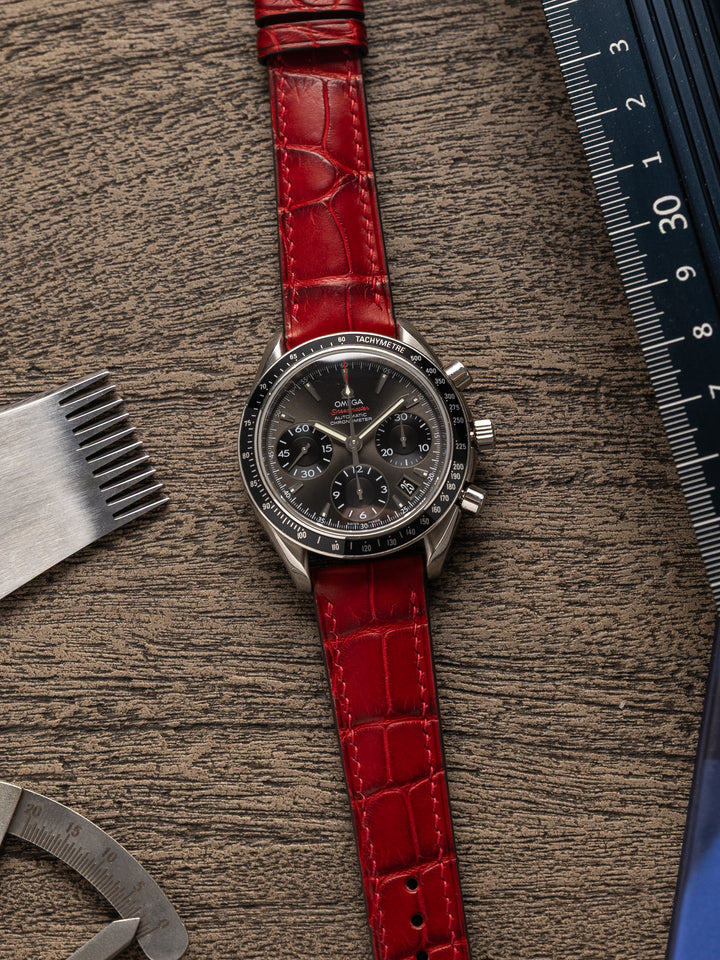 ALLIGATOR | BORDEAUX