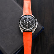 OSTRICH BELLY | ORANGE