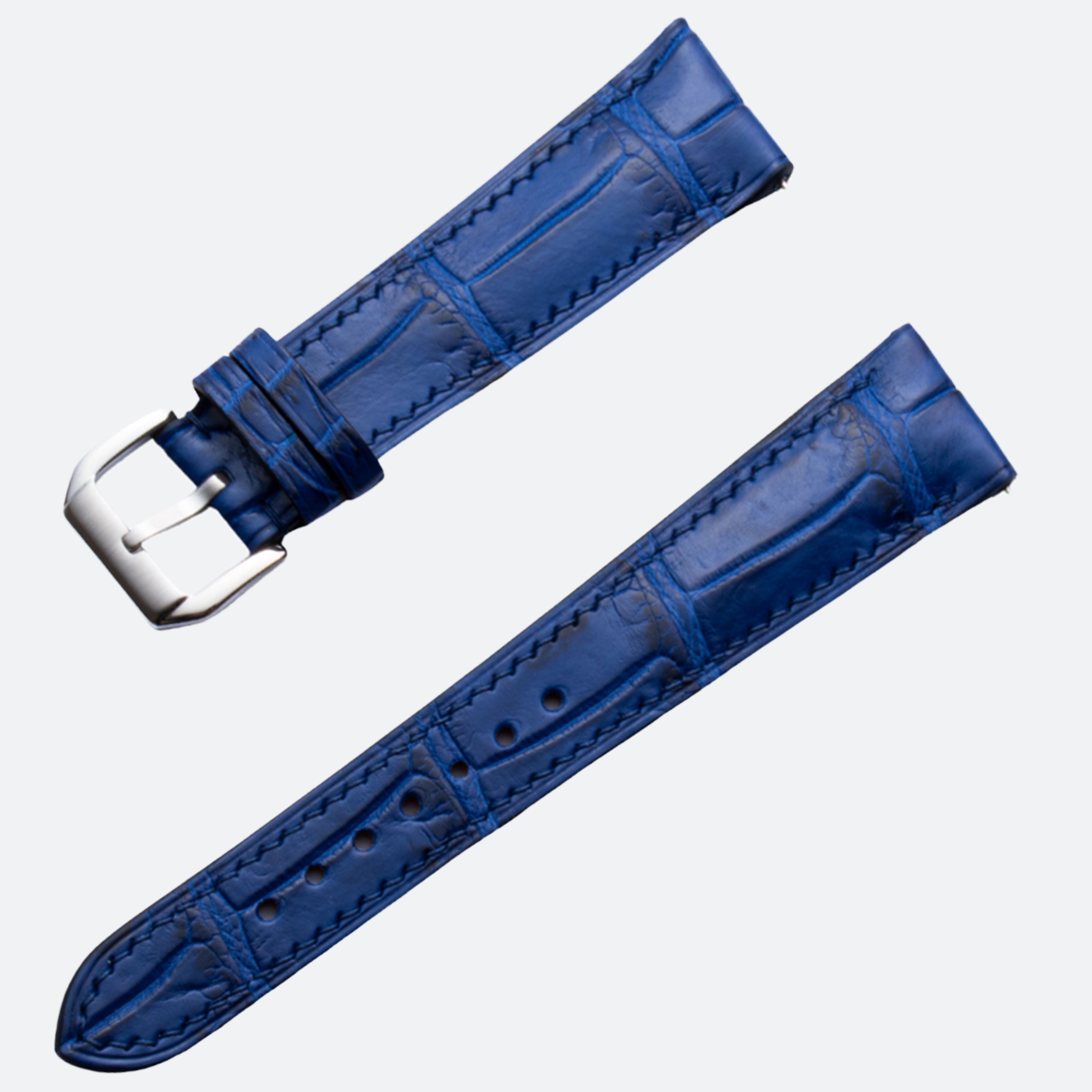 ALLIGATOR | ROYAL BLUE