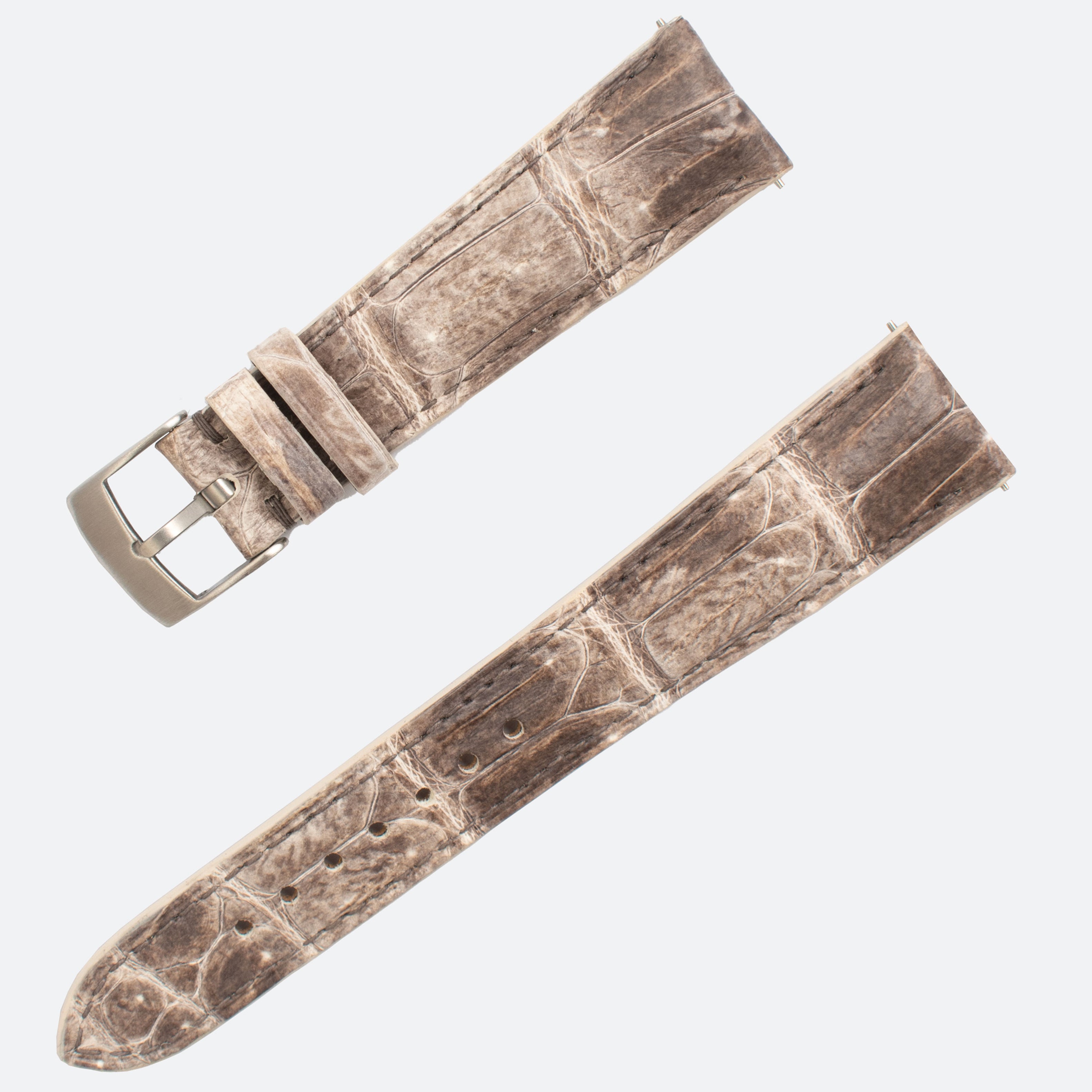 ALLIGATOR | HIMALAYA NEW