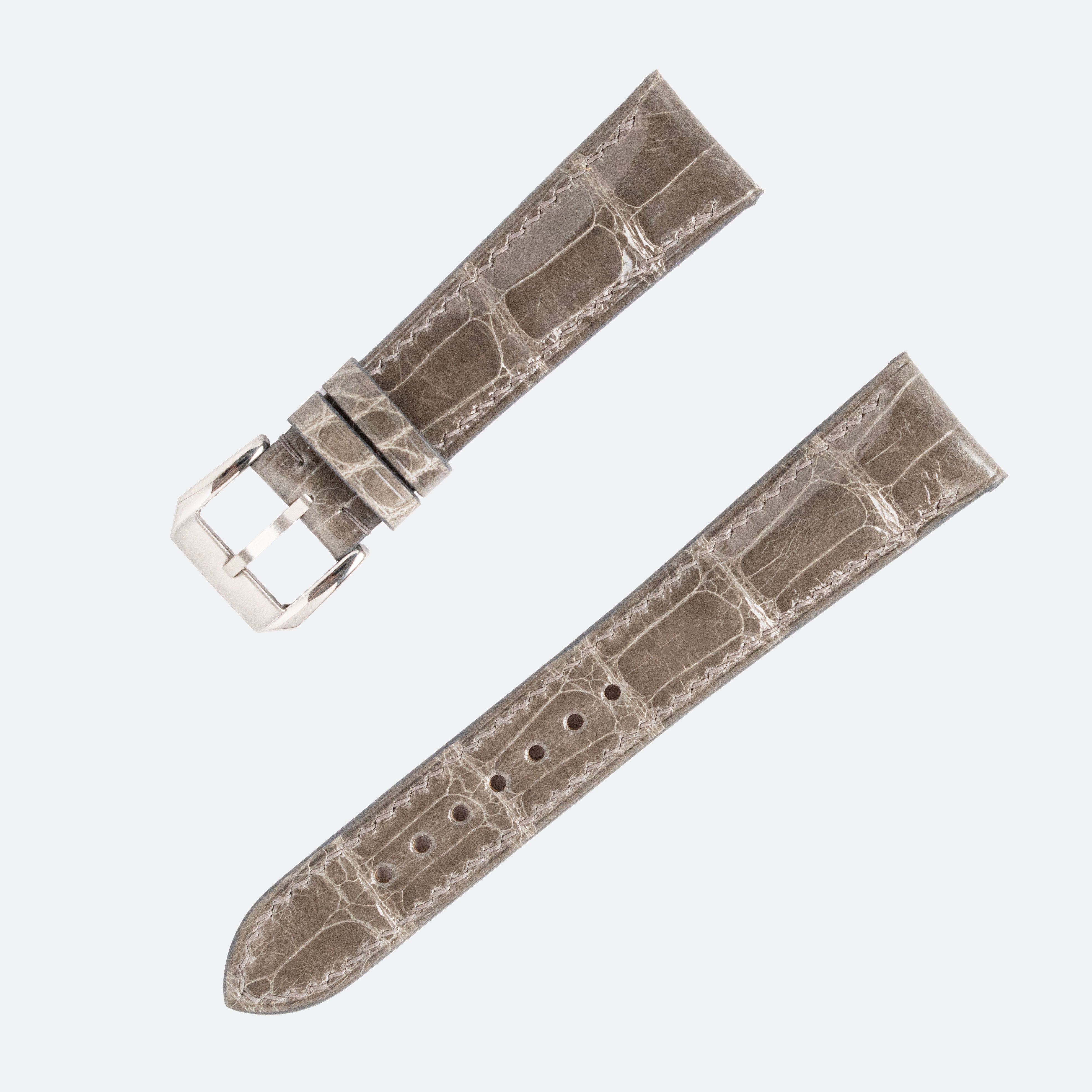 ALLIGATOR | LIGHT GREY GLOSSY