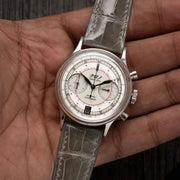 ALLIGATOR | LIGHT GREY GLOSSY