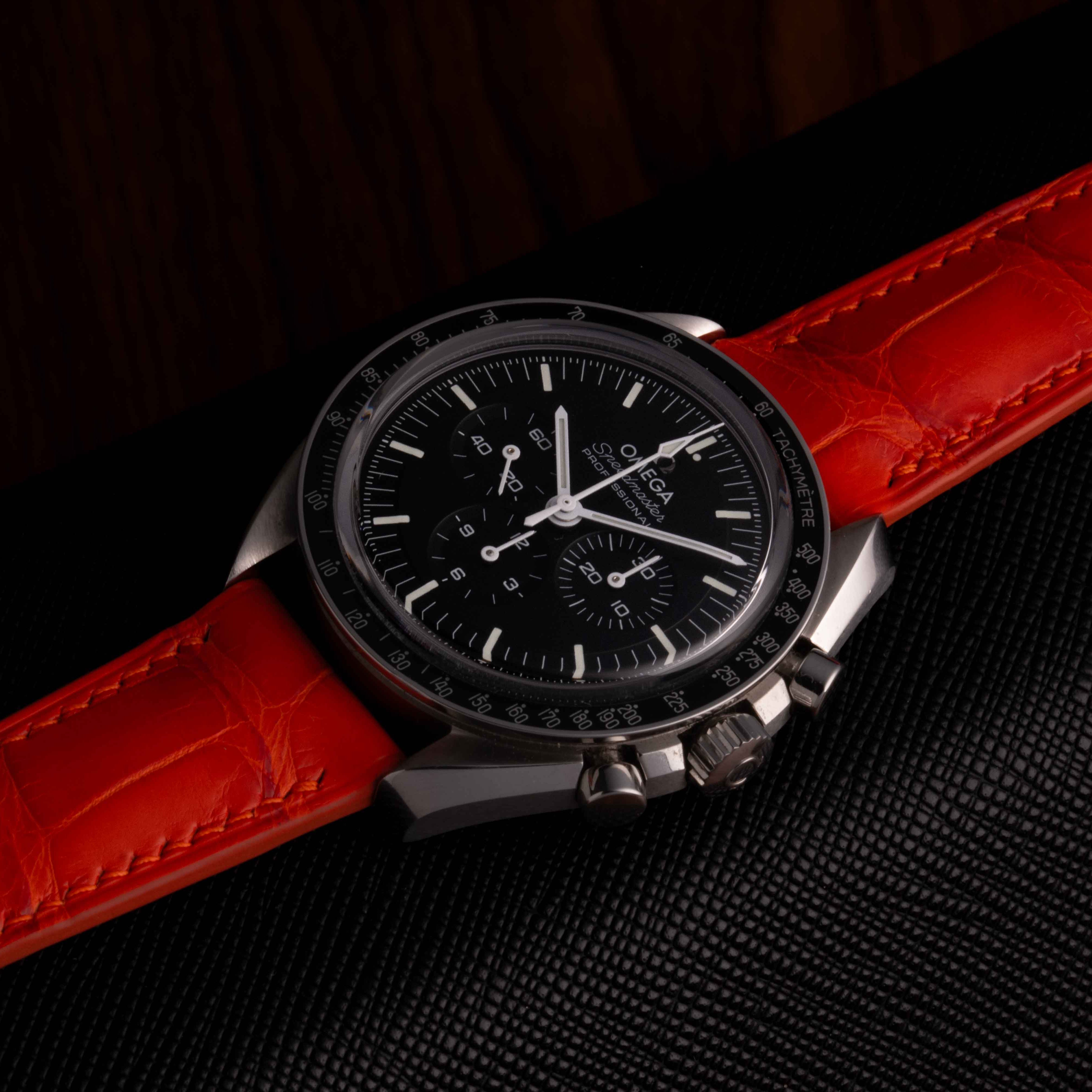 ALLIGATOR | RED