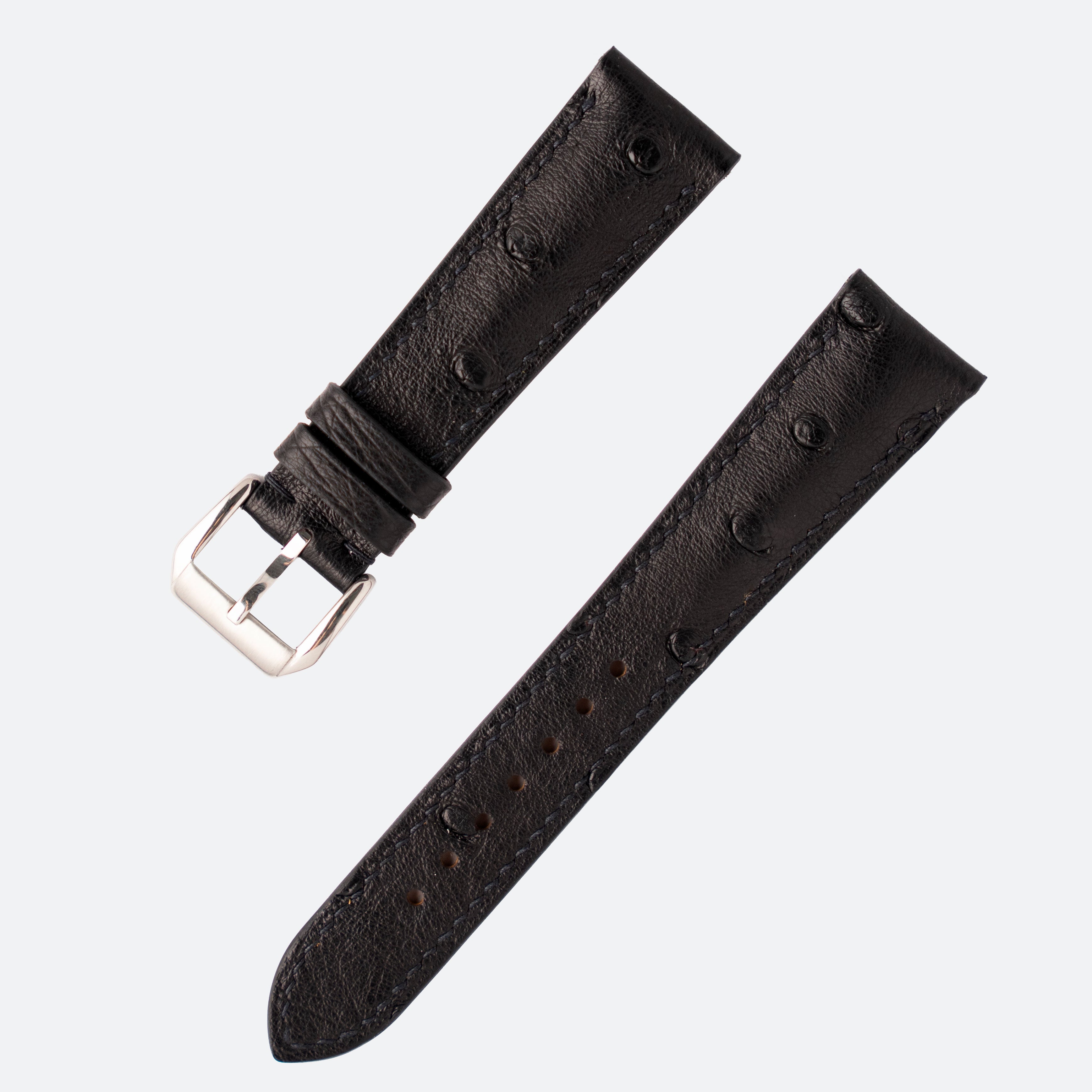 OSTRICH BELLY | BLACK