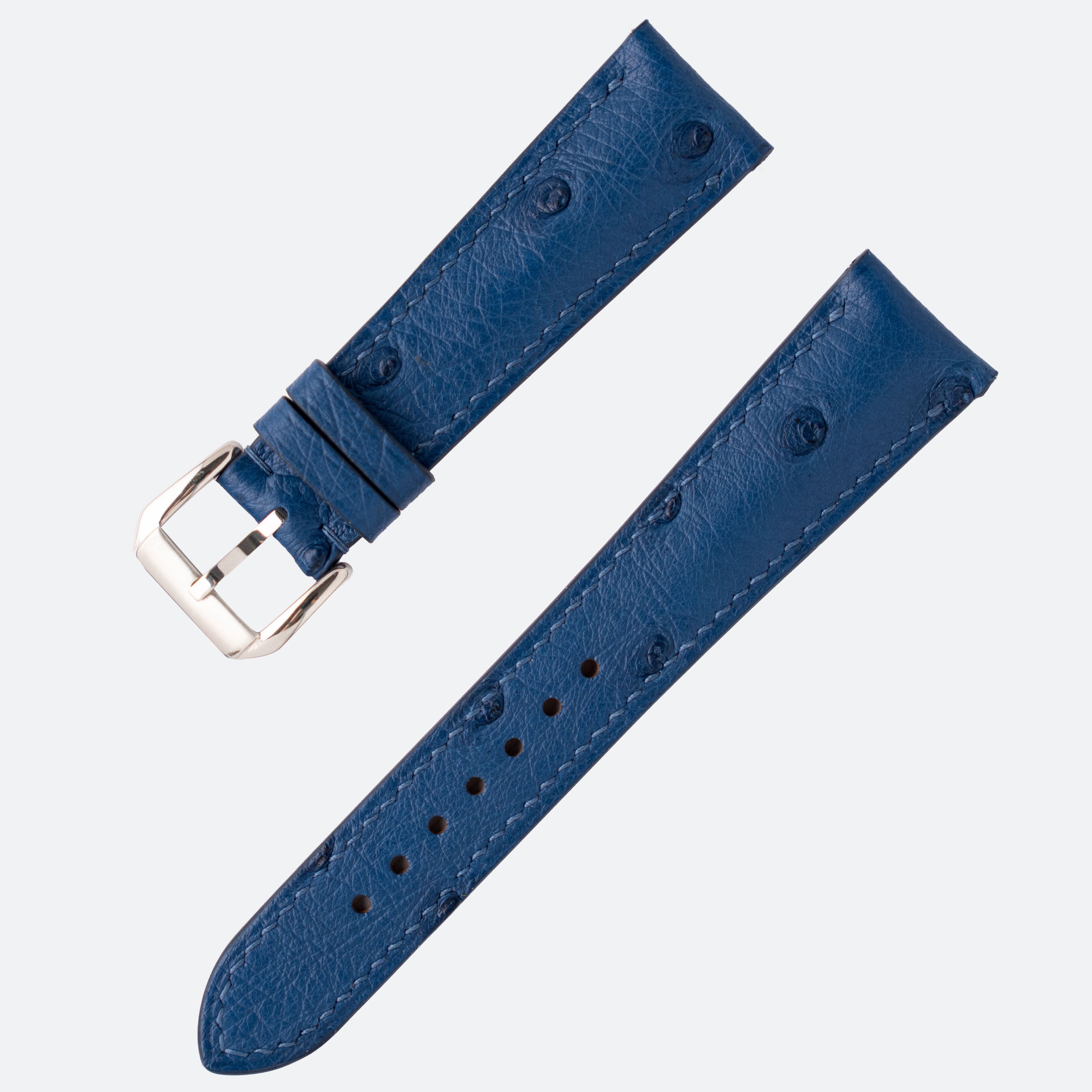 OSTRICH BELLY | BLUE