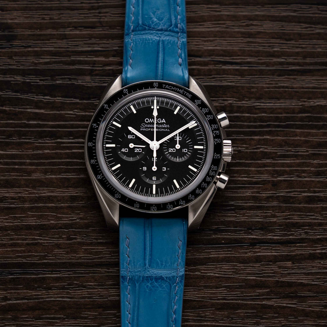 ALLIGATOR | AZURE BLUE