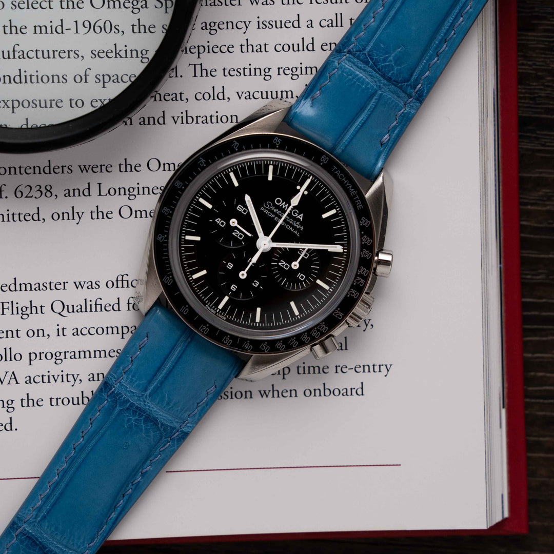 ALLIGATOR | AZURE BLUE