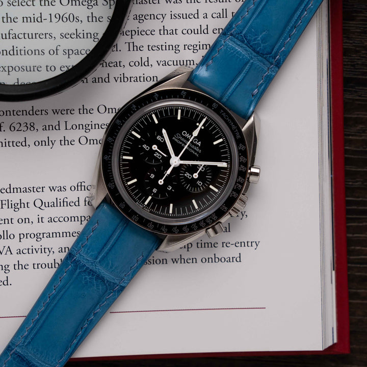 ALLIGATOR | AZURE BLUE