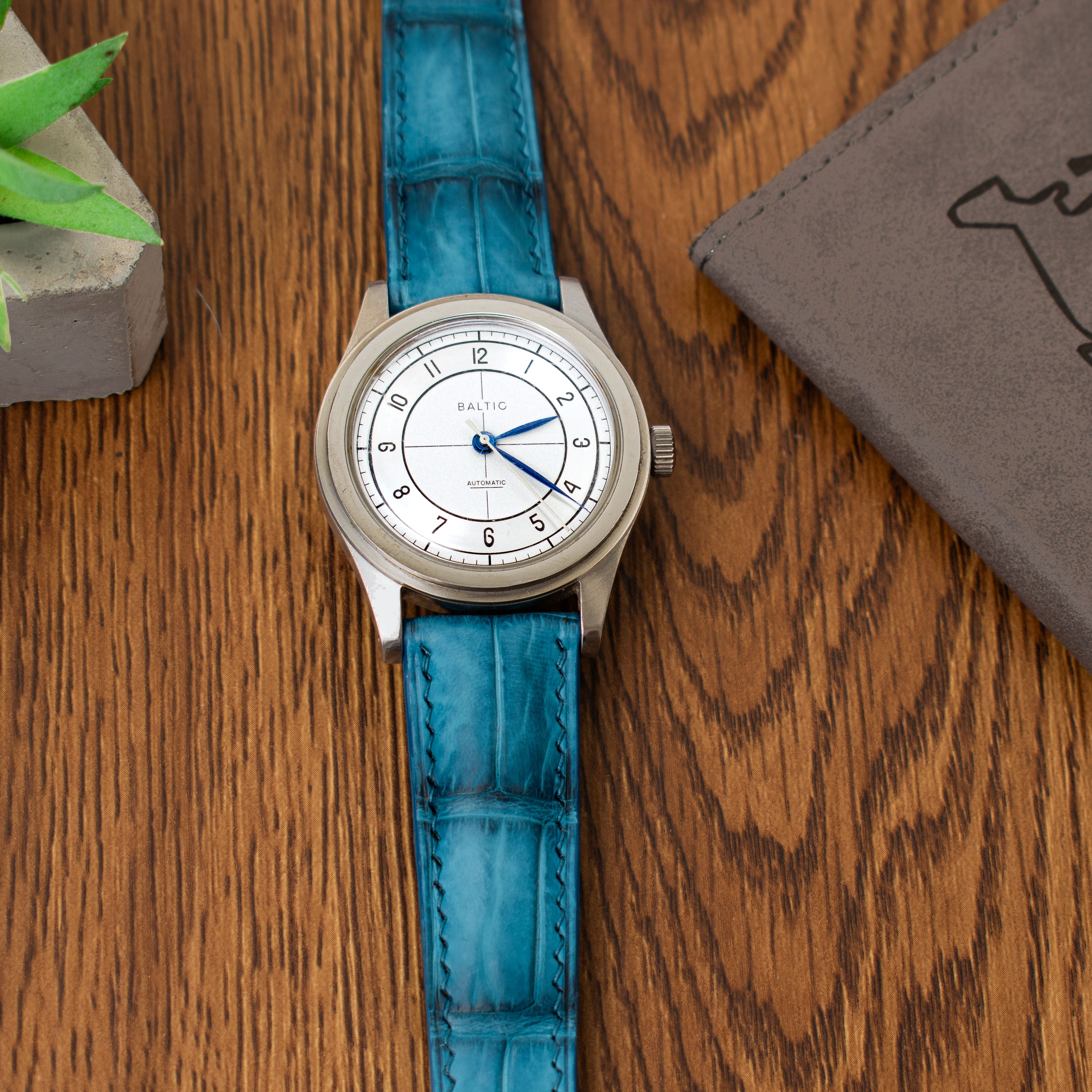 ALLIGATOR | AQUA BLUE